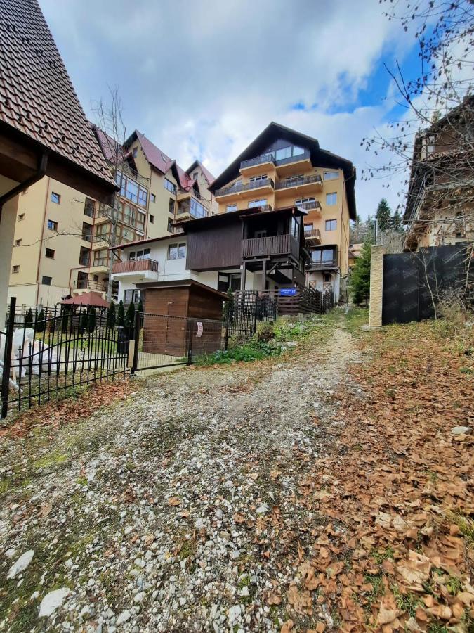 Studio Furnica Sinaia Dış mekan fotoğraf